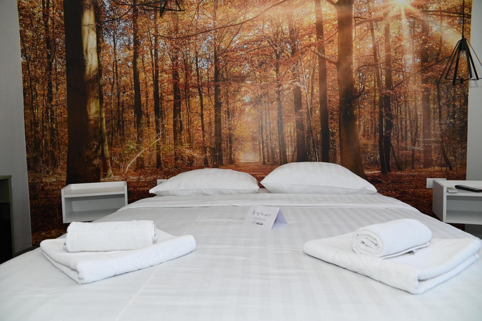 Apartmani Drijen Ravno エクステリア 写真